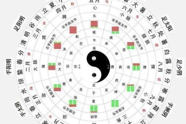 如何通过国际节日表解读养生与自然节律