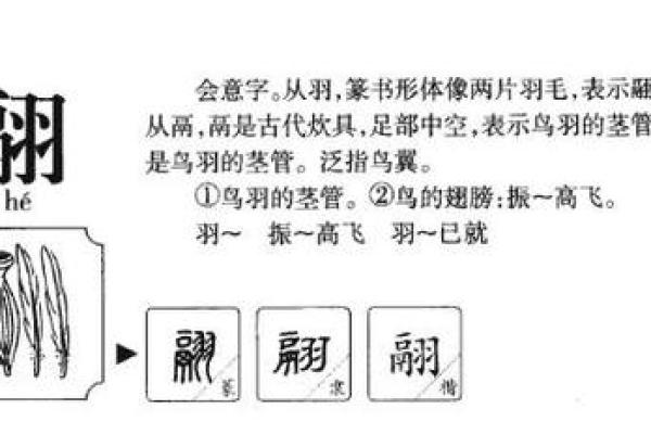 赟字五行格局：性格解析中的实用之道，告别误解，拥抱真实自我