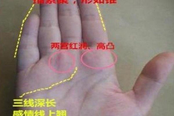 探索焱真命理,如何在命运的暗藏玄机中找到方向 探索焱真命理,如何在命运的暗藏玄机中找到方向