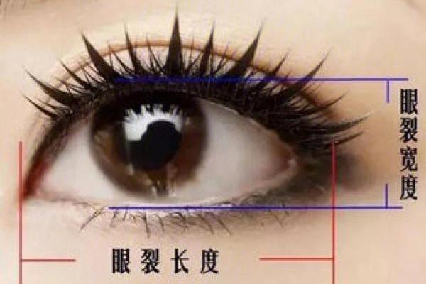 割双眼皮能改变命运密码吗?解密命理中的暗藏玄机 割双眼皮能改变命运密码吗?解密命理中的暗藏玄机