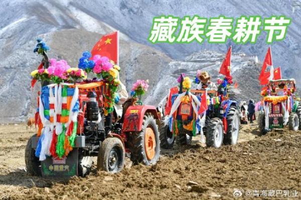 全球各地的农耕节日与传统庆典 全球各地的农耕节日与传统庆典