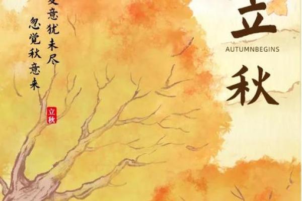 天文现象:立秋与太阳直射点的微妙关系 天文现象:立秋与太阳直射点的微妙关系