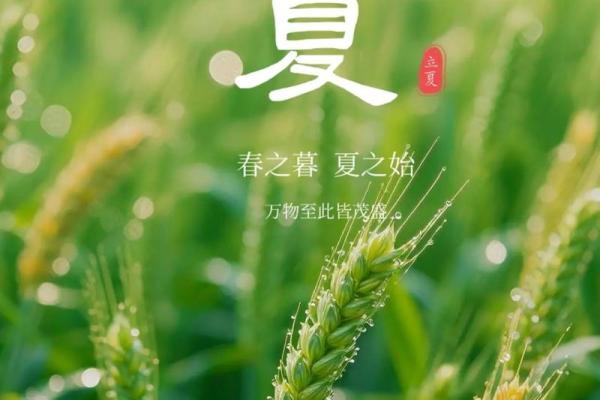 立夏节气,农耕季节的开始,如何安排你的田园生活 立夏节气,农耕季节的开始,如何安排你的田园生活