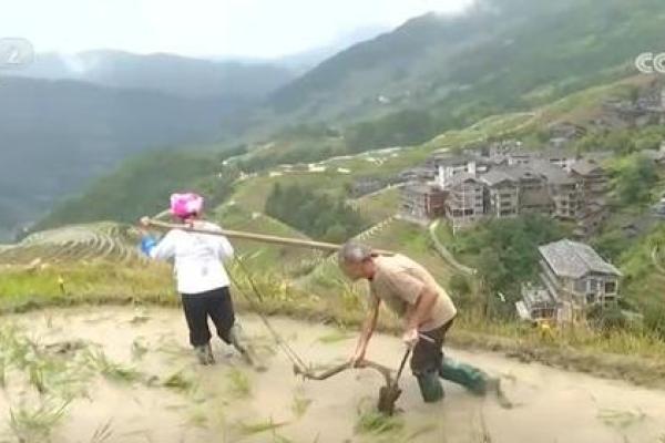 民族节日背后的农耕智慧与传统习俗 民族节日背后的农耕智慧与传统习俗
