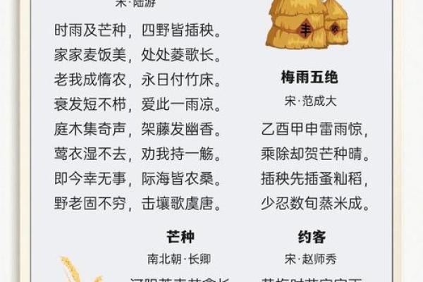 节日背后的农耕智慧：从季节变换看传统农事活动