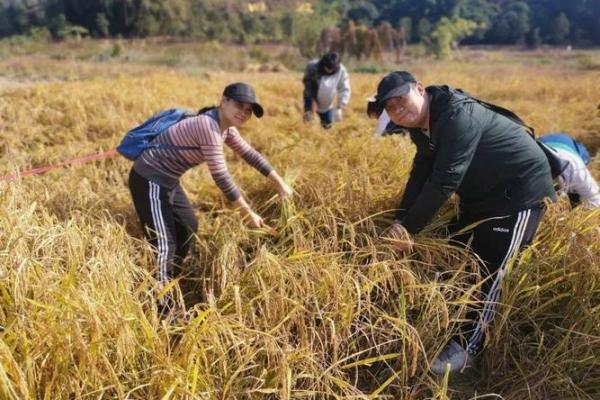 农耕活动：秋冬季节如何合理安排农田管理