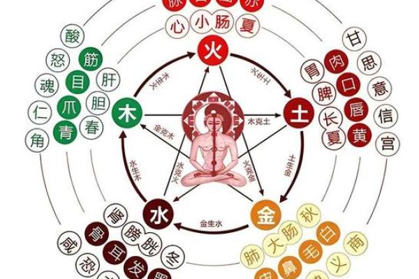 五行格局性格解析:走出误区,找到最适合你的命理之道 五行格局性格解析:走出误区,找到最适合你的命理之道