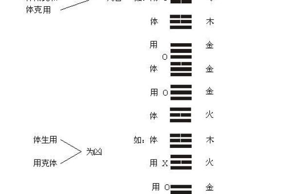 胃在五行中的秘密：性格解析与如何调整，揭开健康之谜