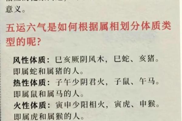 十二地支五行格局，揭秘你的天赋与命运