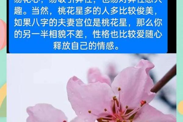 桃花运里藏玄机:五行格局性格解析,揭秘你的内在潜能 桃花运里藏玄机:五行格局性格解析,揭秘你的内在潜能