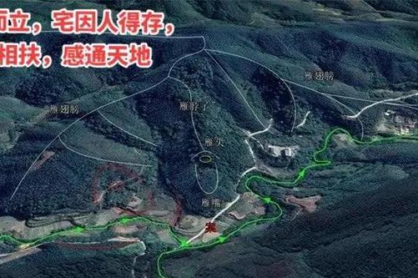 后背长了一根白毛？命运密码暗藏玄机，你可能忽略了这个细节