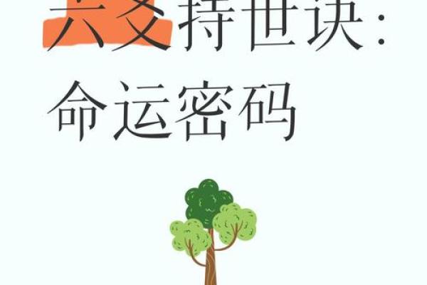如何利用命运密码？文昌位助你打破命理桎梏