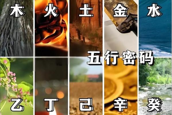 五行误区大揭秘：十六画属木之人为何反而容易陷入这些性格陷阱？