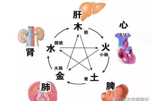 全球节日文化：如何在养生与习俗中找到平衡