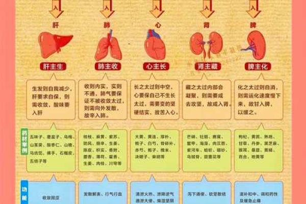 五行格局揭秘：娟之性格密码，如何找到你的五行优势？