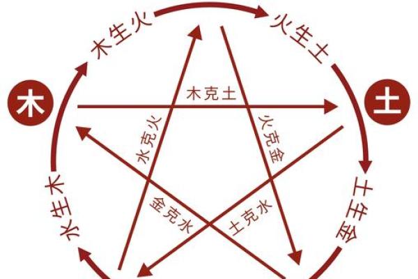 知字五行格局颠覆传统观念：性格解析，如何找到最佳人生路径？