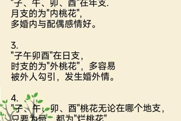 深入探秘命运密码，如何用八字命理突破人生困境