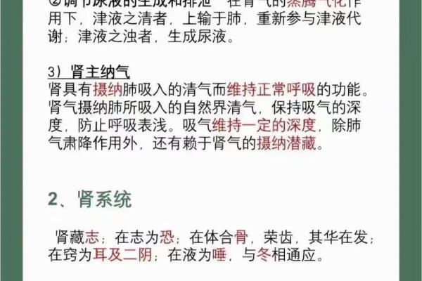 反而更有效？五行格局调整的实用技巧，让你的人生焕然一新