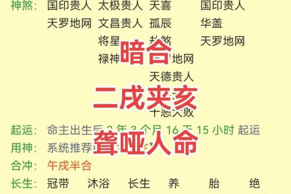 己亥月命理：解锁命运密码，掌握一生的关键