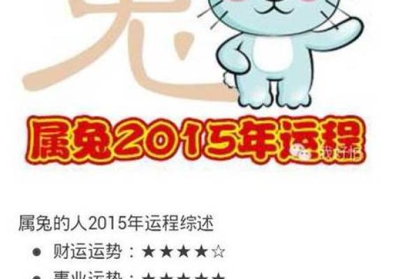 属兔人的命运密码：如何打破命理误区，开启好运之门