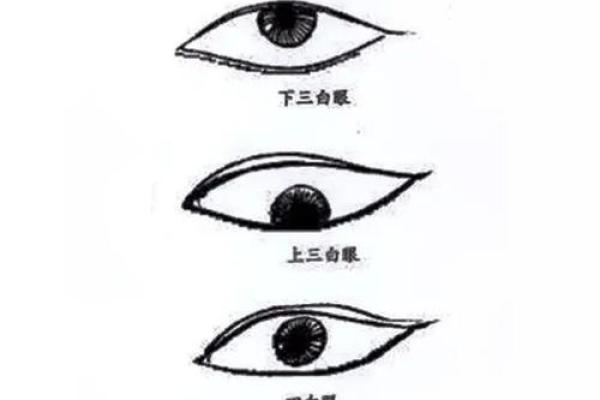 蓓字五行格局破解：颠覆传统性格解析的实用指南