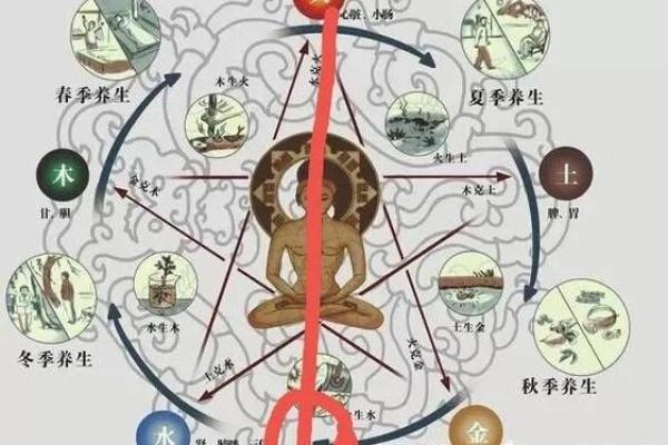如何改变桓字五行格局？揭秘五行调适之道