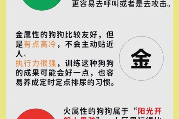 五行格局颠覆传统，教你如何解析性格之谜