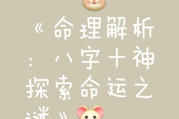 命运密码大公开：改变人生的八字奥秘