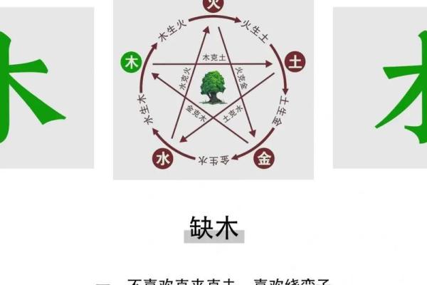 五行格局深度解析：丛五行性格解析，助你成为更好的自己