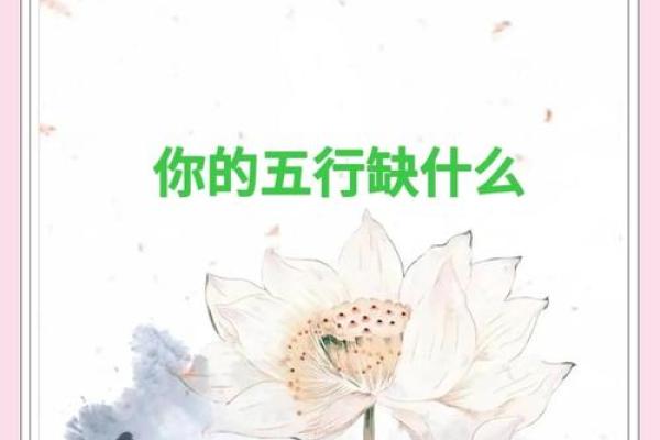 五行性格解码：走出误区，开启你的性格蜕变之旅