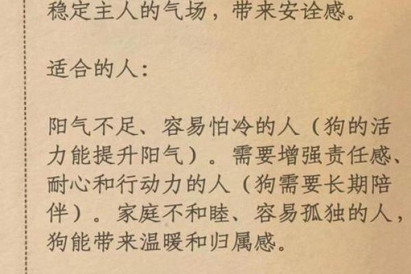 狐狸五行格局大揭秘:如何利用五行改运提升魅力 狐狸五行格局大揭秘:如何利用五行改运提升魅力