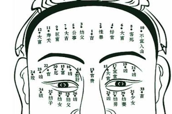 李晨八字命理深度解析:你是否误解了命运的真正玄机 李晨八字命理深度解析:你是否误解了命运的真正玄机