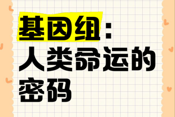 探秘郑秀文命运的玄机:八字中的命运密码如何改变你的人生 探秘郑秀文命运的玄机:八字中的命运密码如何改变你的人生
