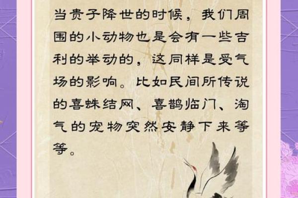 生贵子命理中的暗藏玄机:常见误区,反而让你离贵子更远! 生贵子命理中的暗藏玄机:常见误区,反而让你离贵子更远!