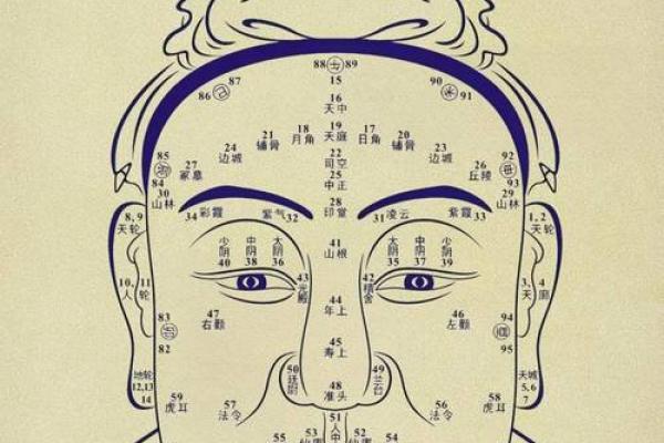 额头面相的玄机,如何避开命运的陷阱 额头面相的玄机,如何避开命运的陷阱