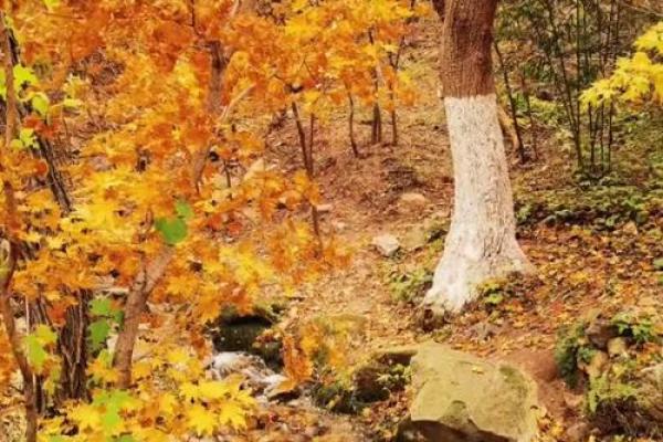 昕的五行格局揭秘:摆脱性格局限,实现自我突破 昕的五行格局揭秘:摆脱性格局限,实现自我突破