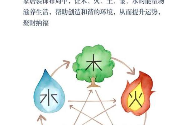 五行格局揭秘:木性之人如何解锁潜能? 五行格局揭秘:木性之人如何解锁潜能?
