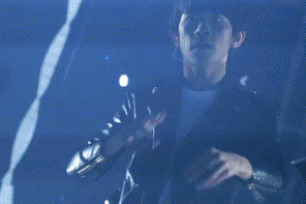 额头白毛背后的暗藏玄机,你可能一直误解了它的含义 额头白毛背后的暗藏玄机,你可能一直误解了它的含义