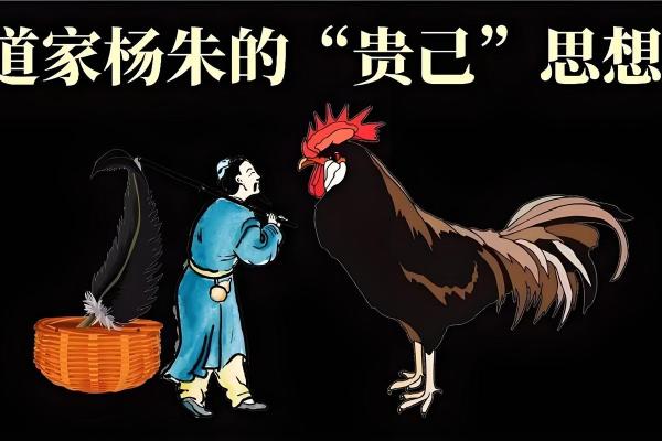 额头白毛背后的暗藏玄机,你可能一直误解了它的含义 额头白毛背后的暗藏玄机,你可能一直误解了它的含义