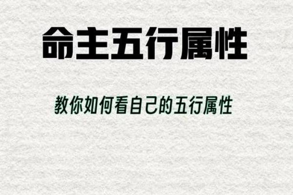 五行反而让你更强大？揭秘性格优化新法则