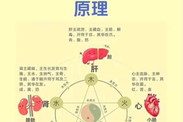 五行格局揭秘:如何通过健字洞察性格解析? 五行格局揭秘:如何通过健字洞察性格解析?