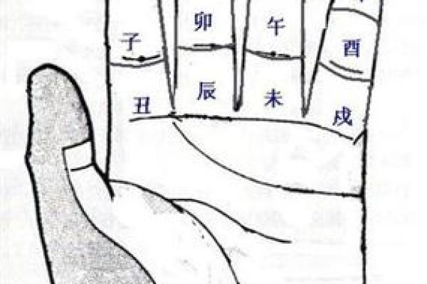 灰色五行格局揭秘:你的性格解析如何影响人生走向? 灰色五行格局揭秘:你的性格解析如何影响人生走向?