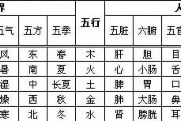 五行格局颠覆性解析:重新定义你的性格特质 五行格局颠覆性解析:重新定义你的性格特质