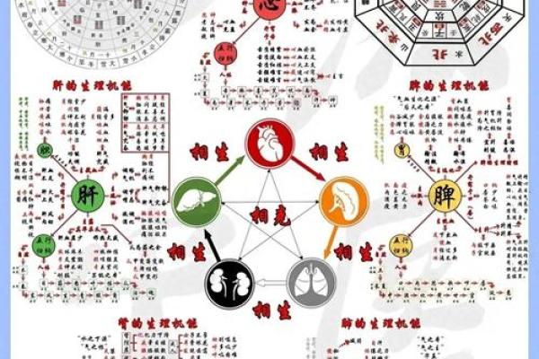 性格解析新视角:月份五行格局中的反常规智慧 性格解析新视角:月份五行格局中的反常规智慧