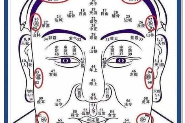 香港命理风水：揭开命运密码的神秘面纱