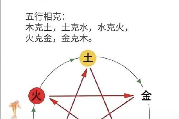 五行格局与缘字密码：揭秘性格解析中的神秘力量，你了解多少？
