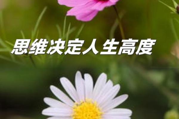 洪秀柱命运的暗藏玄机：如何改变人生轨迹，走向成功