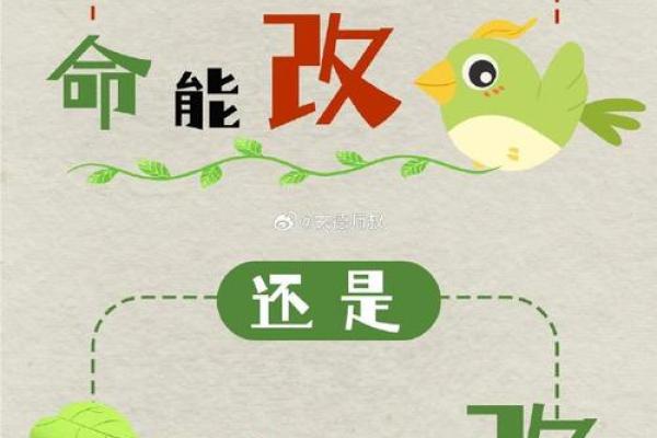 辛丑年如何改变命运？颠覆传统命理观念，反而能让你更好运！
