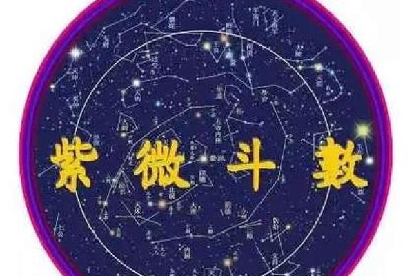 性格解析:金木格局,揭秘你的事业成就与人际智慧 性格解析:金木格局,揭秘你的事业成就与人际智慧