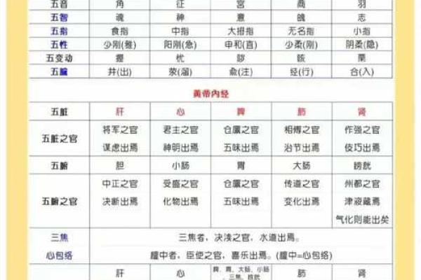 五行算命实用手册:轻松掌握性格解析,提升人际关系智慧 五行算命实用手册:轻松掌握性格解析,提升人际关系智慧